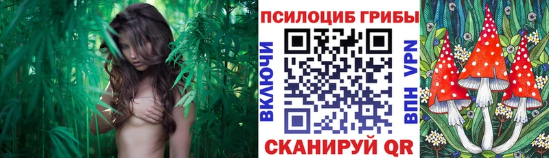 Псилоцибиновые грибы мицелий  купить  сайты  Амурск 