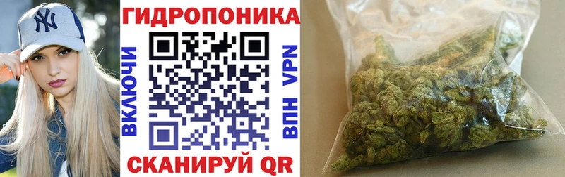 где купить наркотик  это телеграм  Шишки марихуана Ganja  Амурск  ОМГ ОМГ сайт 